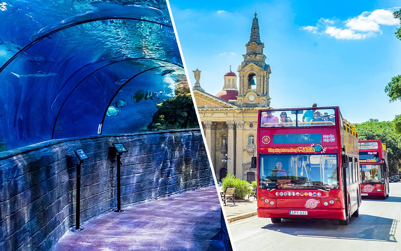 Aquarium tunnel and sightseeing bus in Malta.