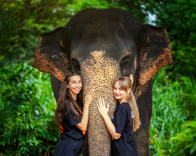 Elephant Sanctuary Tour with Transfers in Phuket