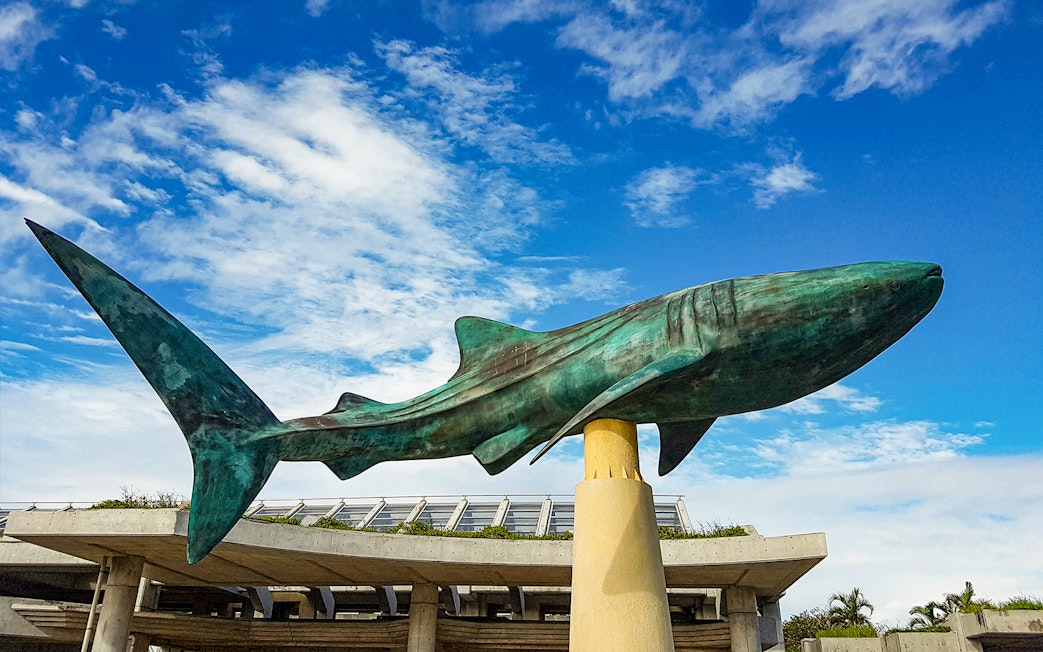 Whale shark statue at Churaumi Aquarium entrance, Okinawa.