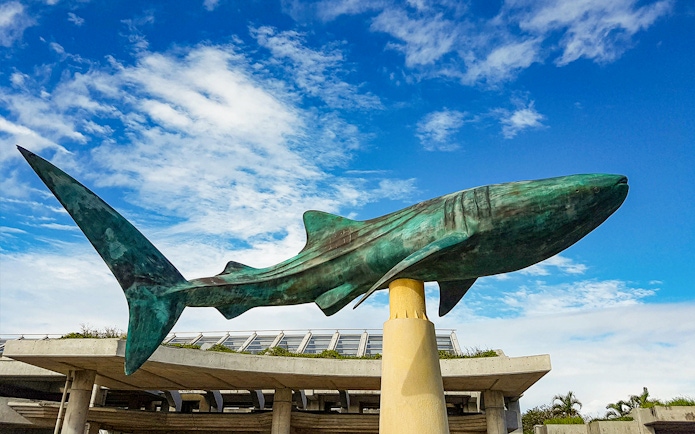 Whale shark statue at Churaumi Aquarium entrance, Okinawa.