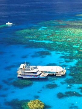 Cruise ship docked at Great Barrier Reef, Cairns, with vibrant coral visible underwater.