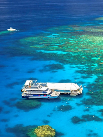 Cruise ship docked at Great Barrier Reef, Cairns, with vibrant coral visible underwater.