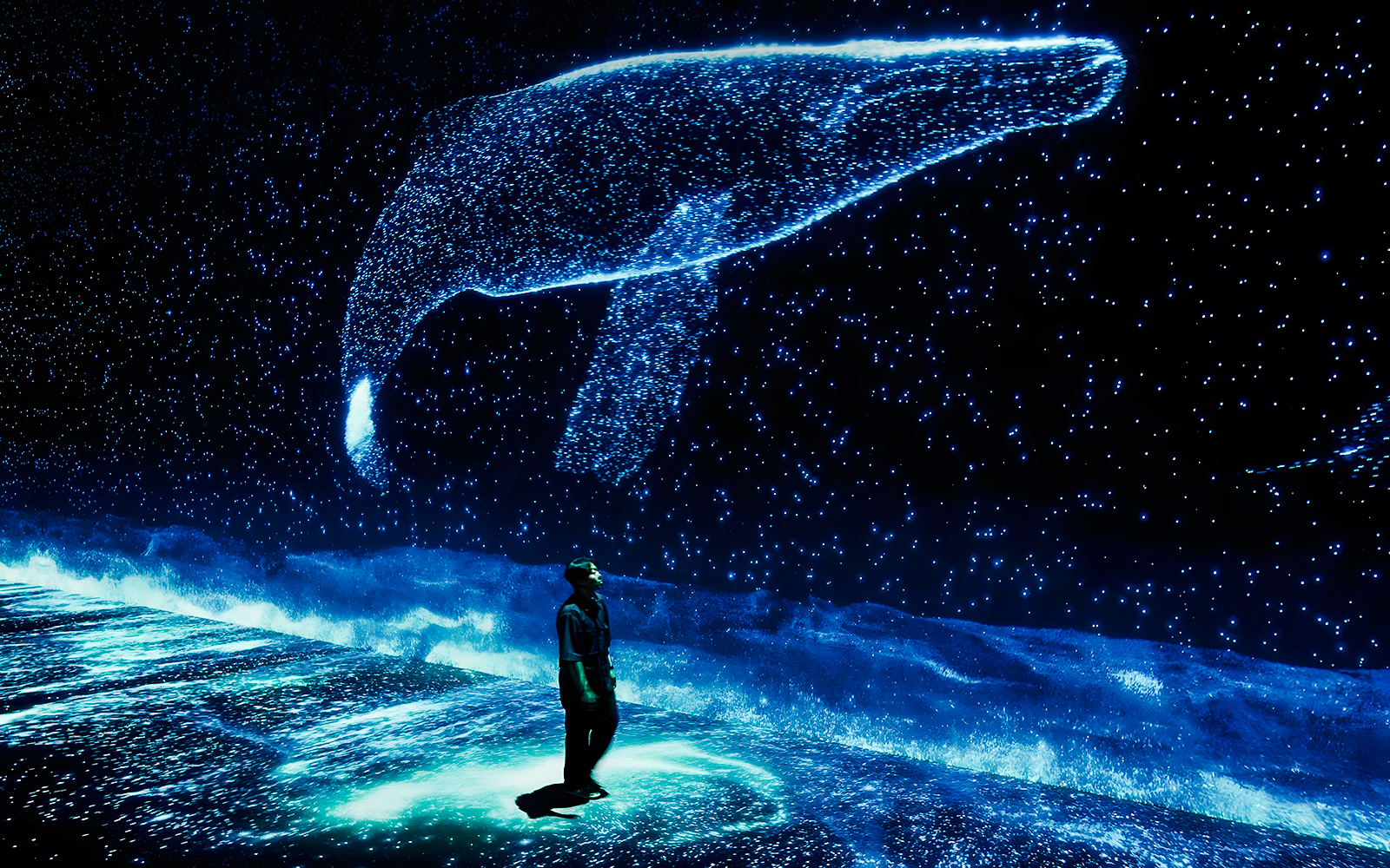Visitor observing digital whale display at ARTE Museum.