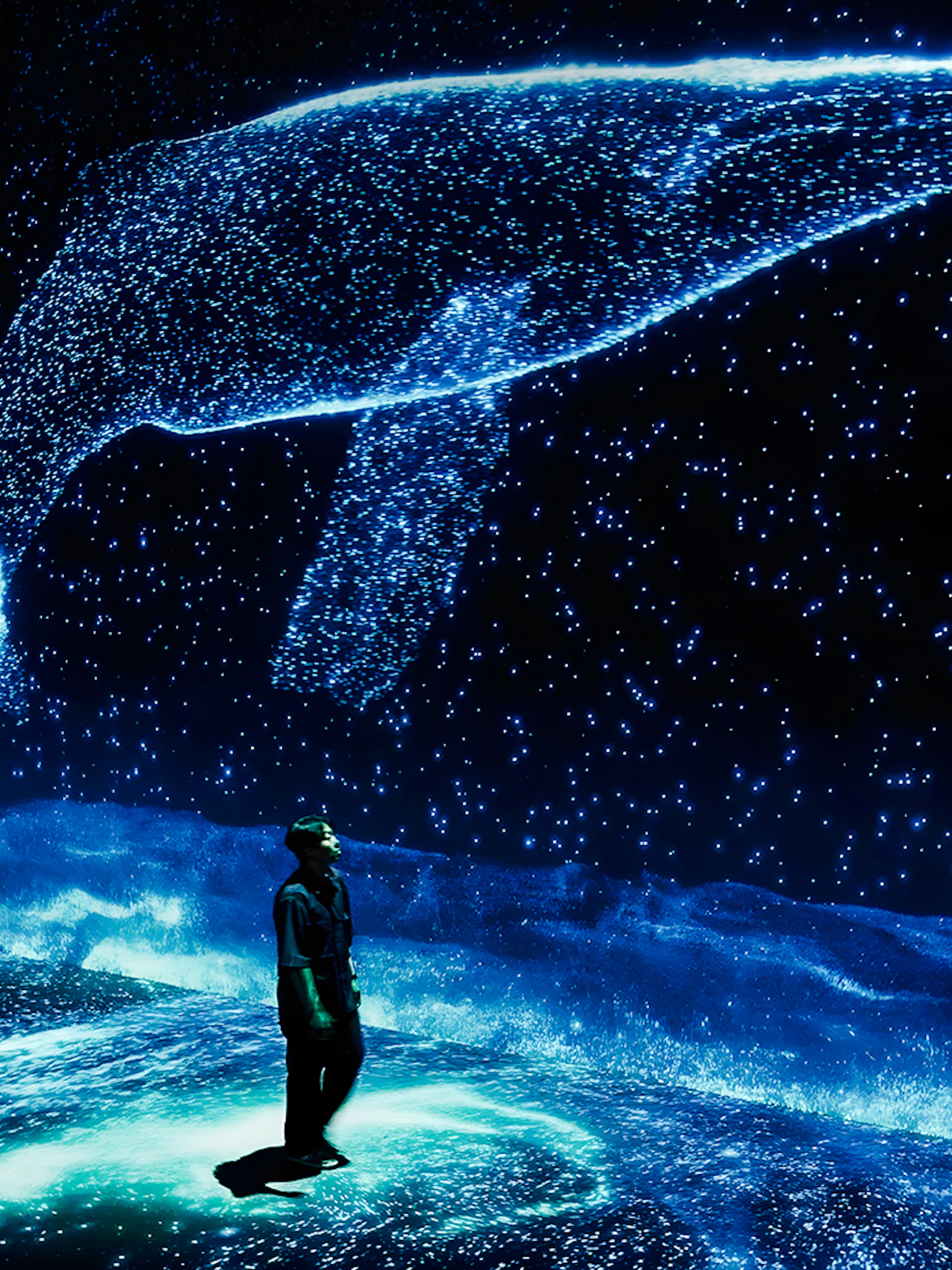 Visitor observing digital whale display at ARTE Museum.