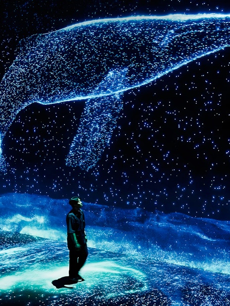 Visitor observing digital whale display at ARTE Museum.