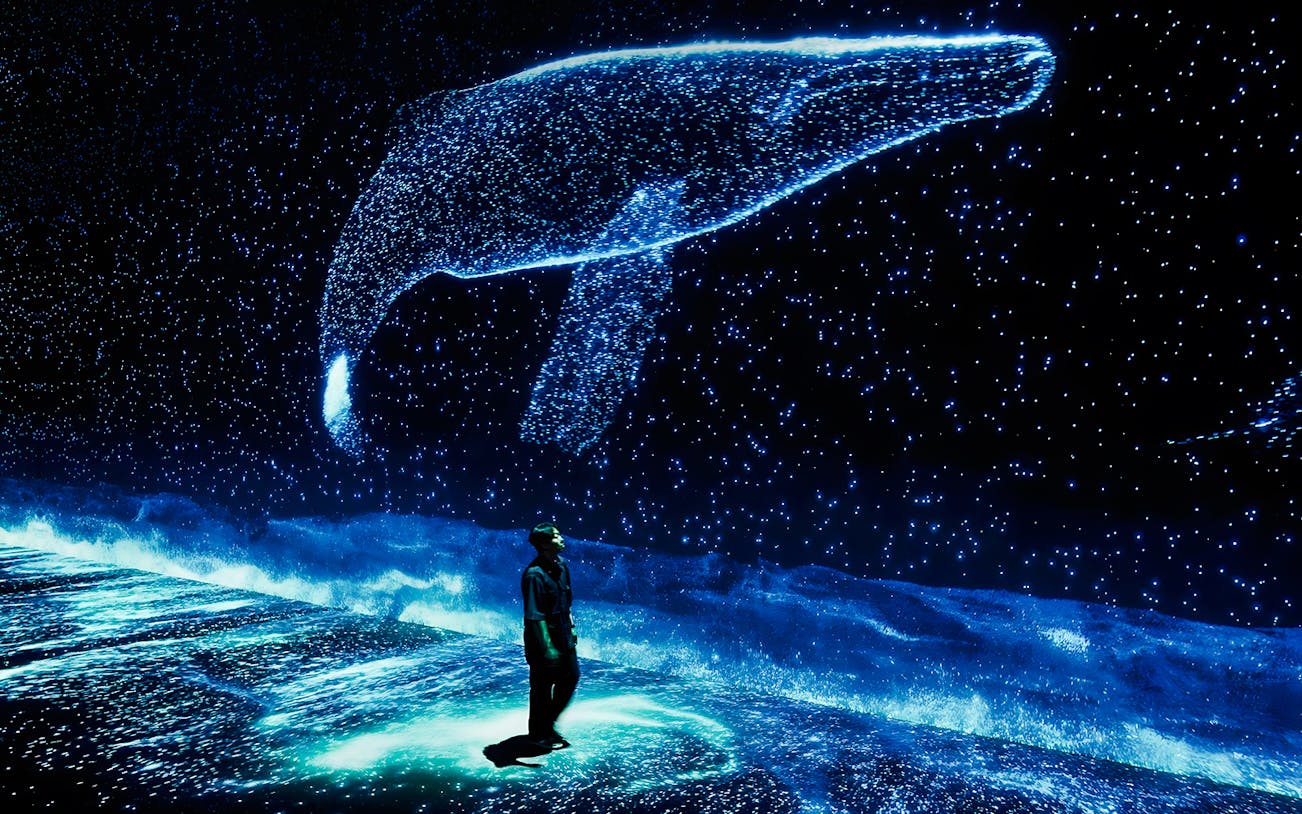 Visitor observing digital whale display at ARTE Museum.