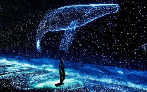 Visitor observing digital whale display at ARTE Museum.