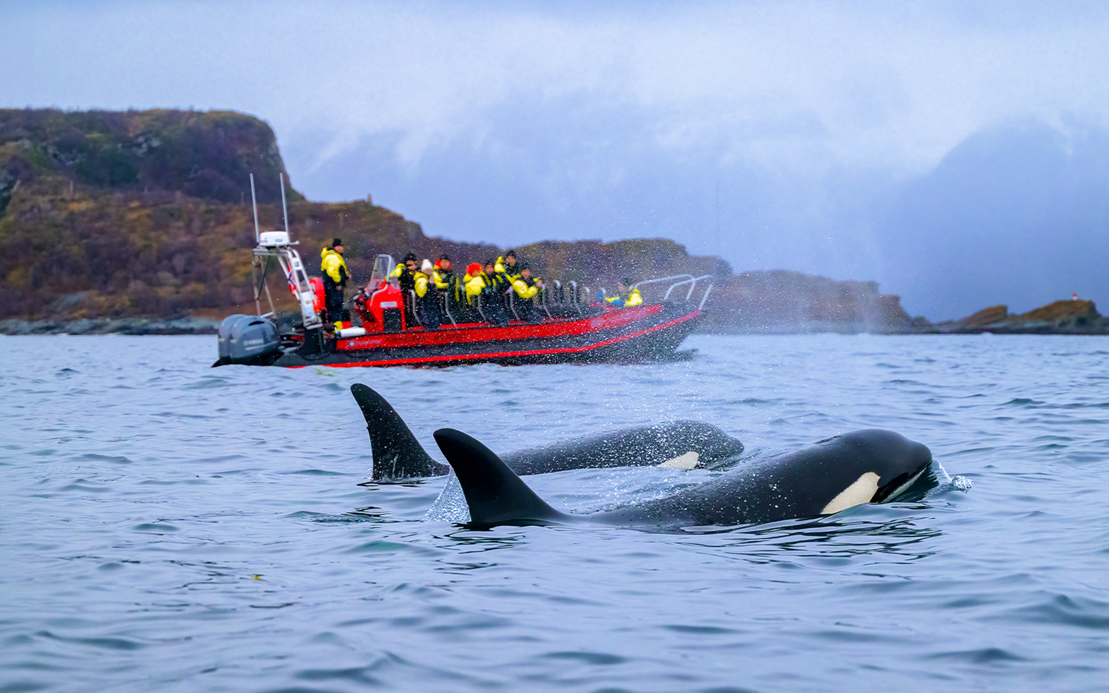 Skjervoy Fjorden & open wateren