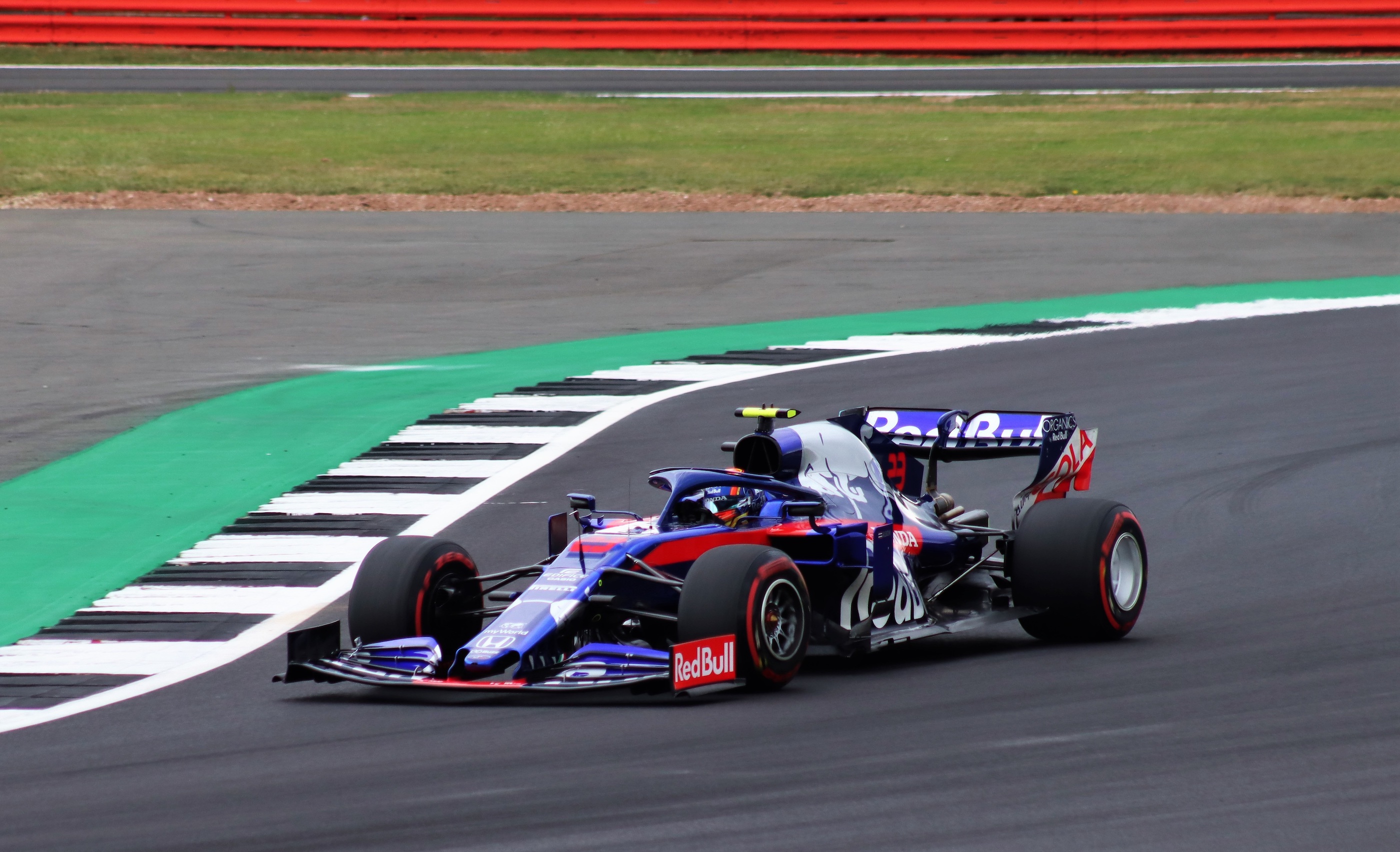 toro rosso