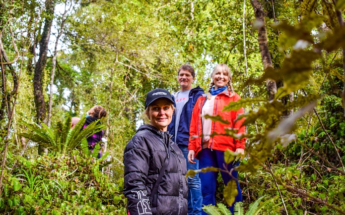 Tourists walking through lush rainforest at Franz Josef.