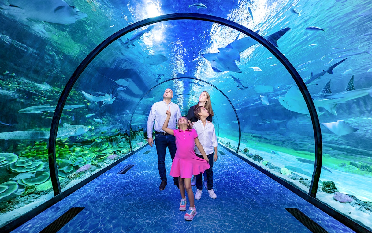 Family exploring underwater tunnel at National Aquarium Abu Dhabi.
