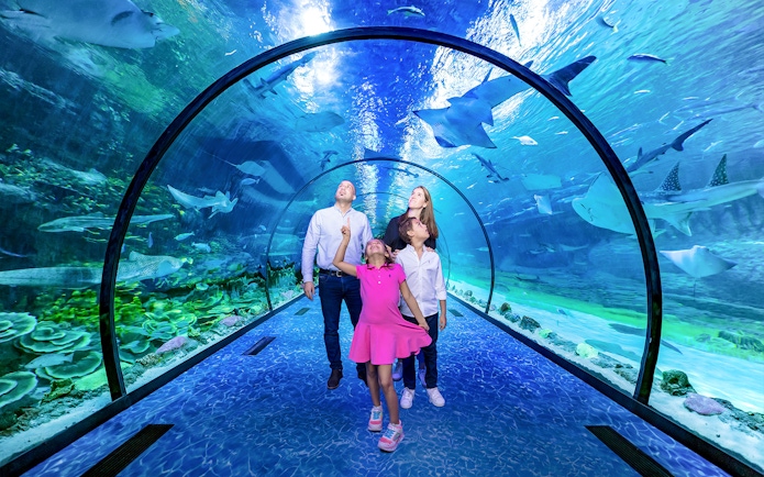 Family exploring underwater tunnel at National Aquarium Abu Dhabi.