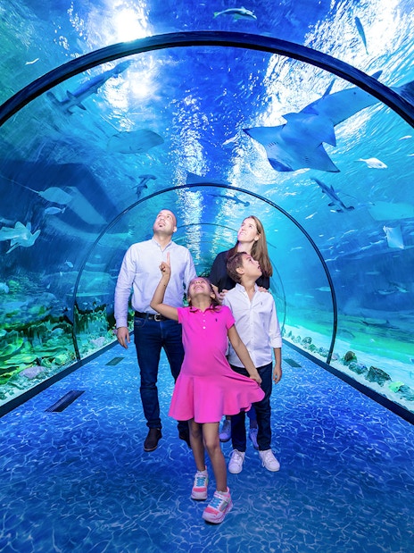Family exploring underwater tunnel at National Aquarium Abu Dhabi.