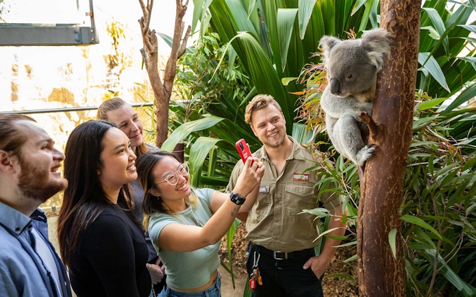 Visitors taking photos with a koala at WILD LIFE Sydney Zoo.