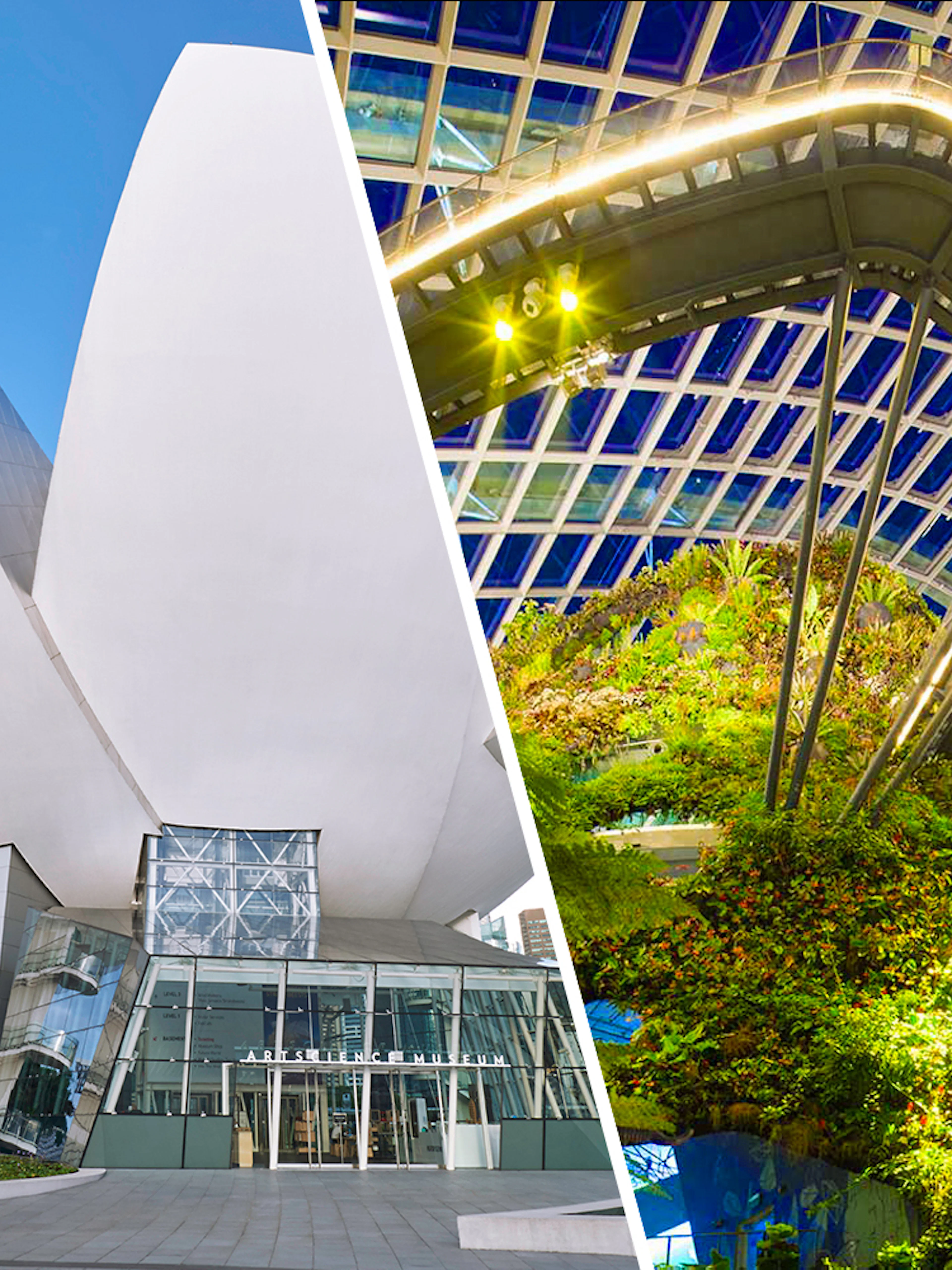 ArtScience Museum exterior and Gardens by the Bay Cloud Forest interior in Singapore.