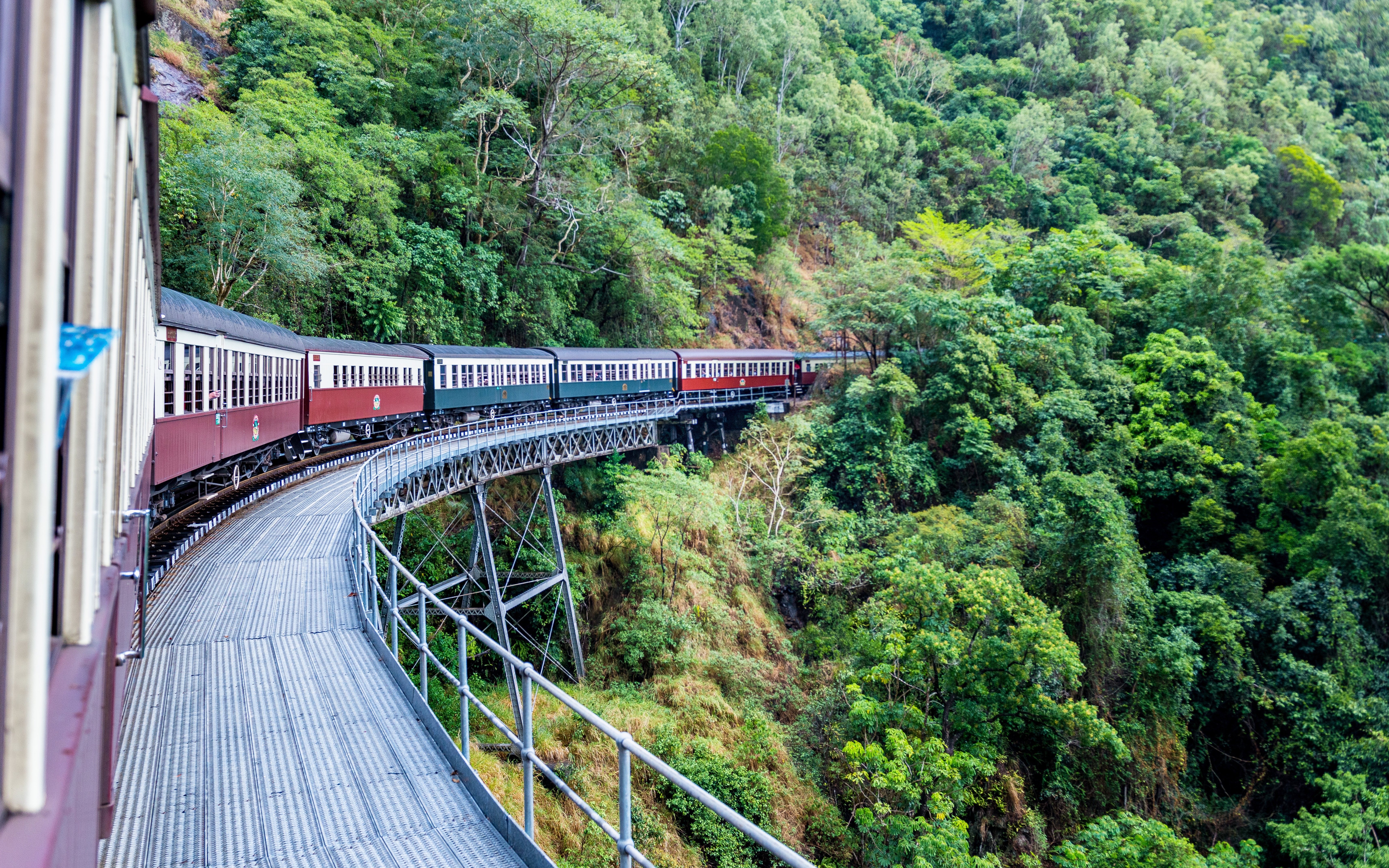 Kuranda scenic railway passing through lush green forests in Australia.