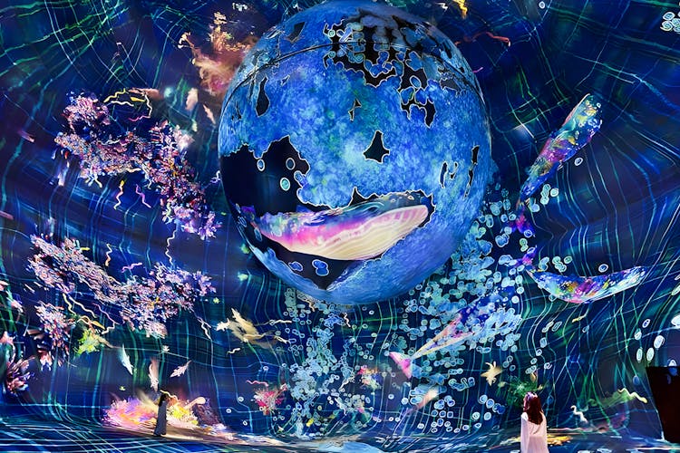 TeamLab Phenomena Abu Dhabi interactive digital art installation with vibrant light displays.