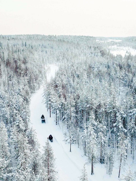 Aerial view of snowmobiles on a snowy trail through a forest in Lapland.