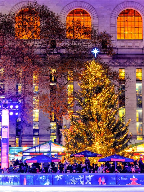 Holiday lights and decorated tree at a festive ice rink in New York City.