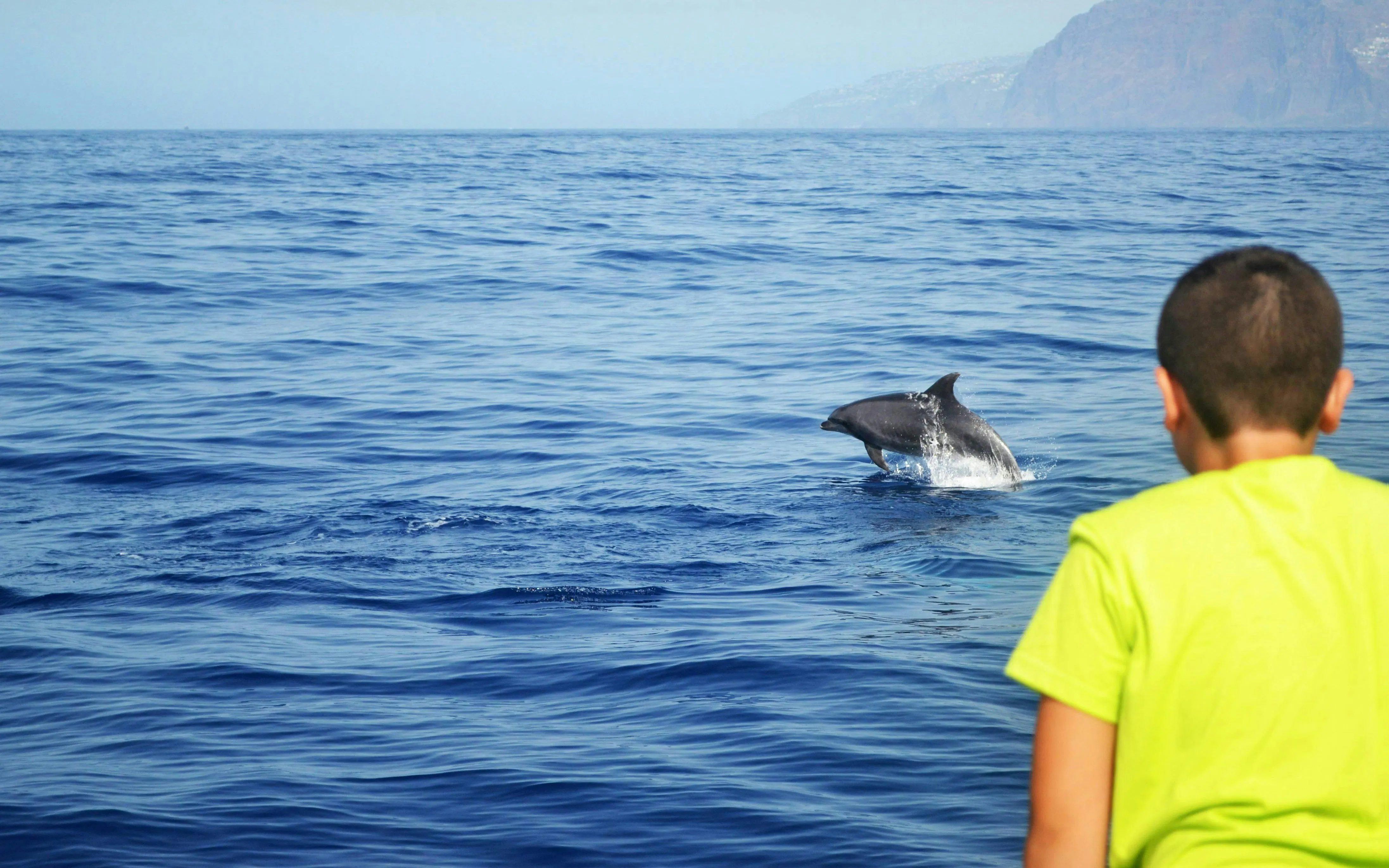Boy watching dolphin jump during small group cruise.