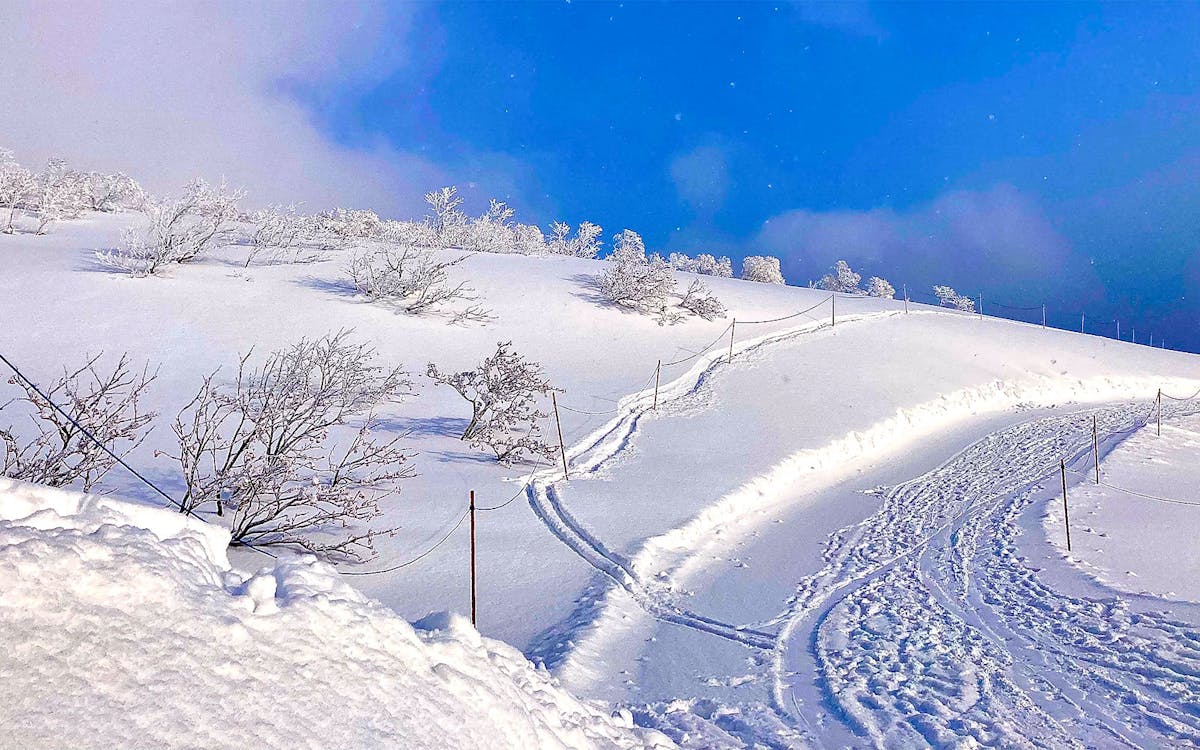 roundtrip bus transfer from sapporo hotels to rusutsu + 1-day ski lift pass-7 roundtrip bus transfer from sapporo hotels to rusutsu + 1-day ski lift pass-7