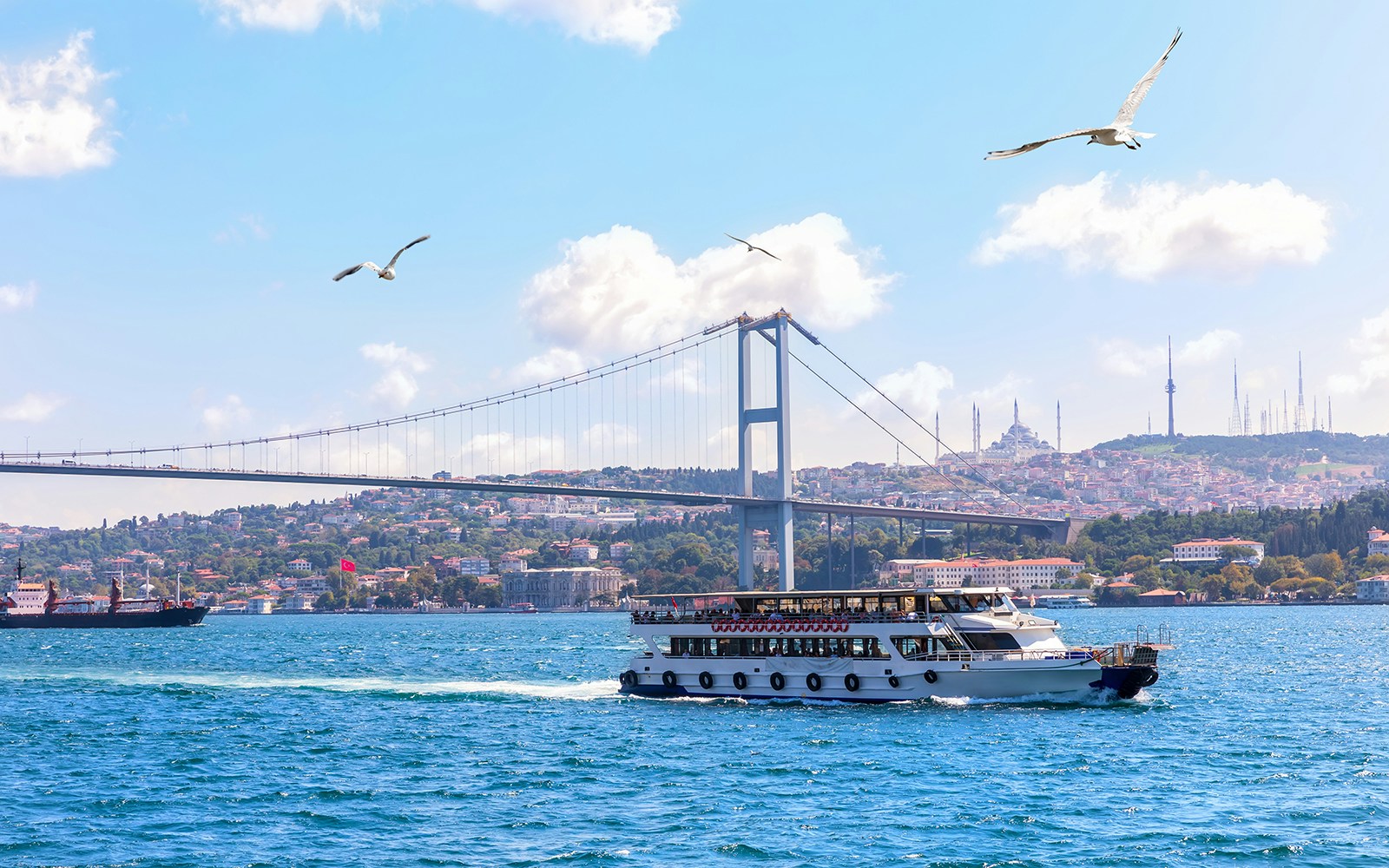 Bosphorus Sunset Evening Cruises