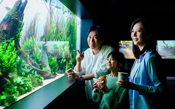 Tourists enjoying an aquarium exhibit at AOAO Sapporo.