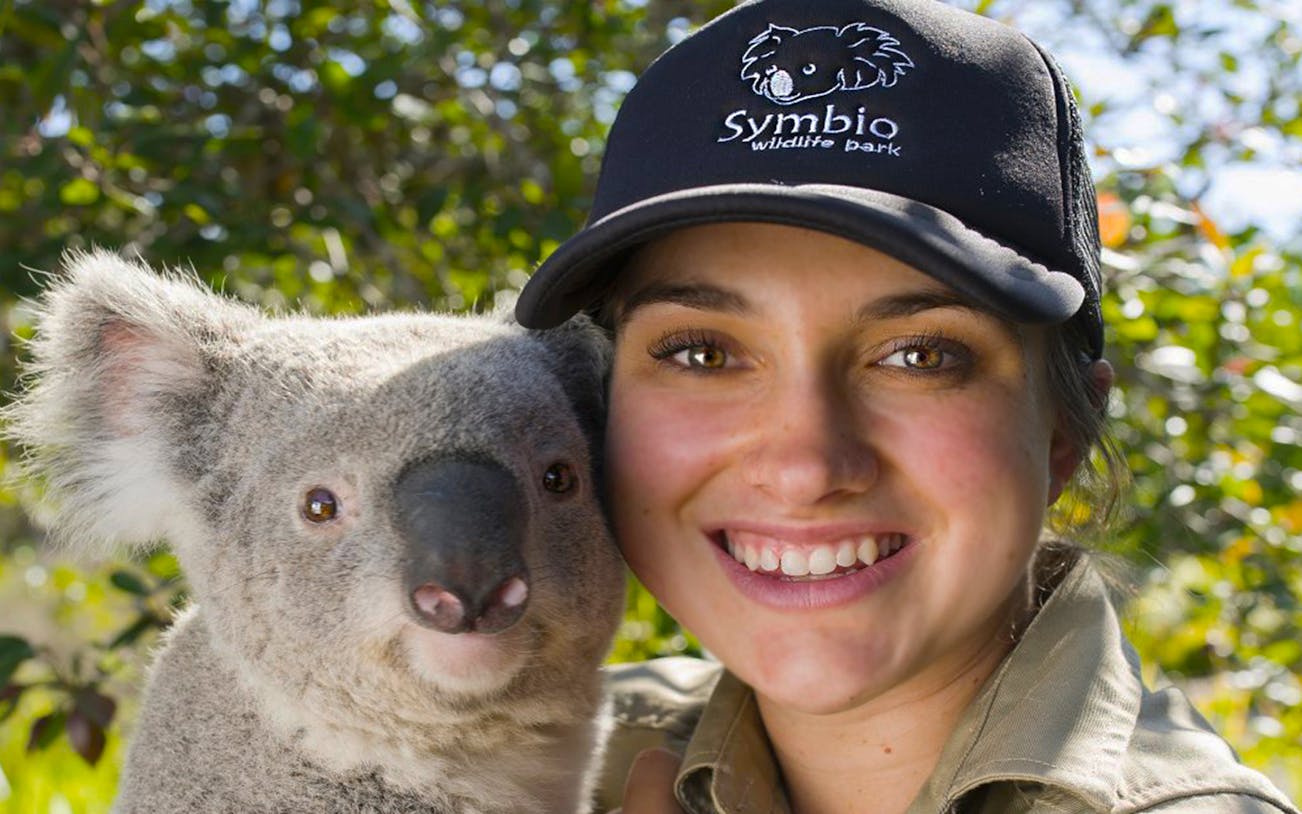 Koala with a Symbio Wildlife Park staff member in Australia.