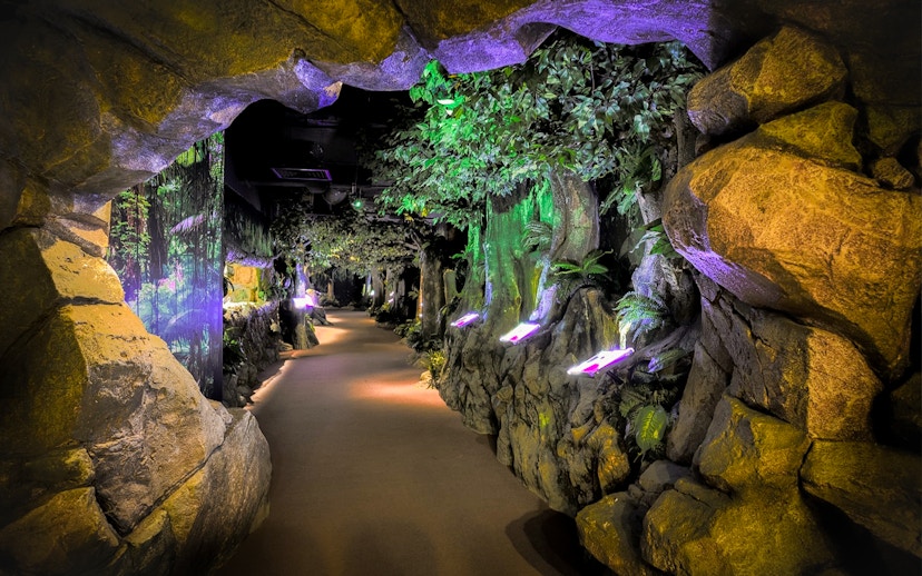 Pathway through illuminated cave and forest exhibit at The TOP Penang.