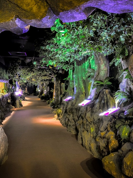 Pathway through illuminated cave and forest exhibit at The TOP Penang.