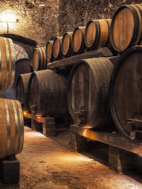 Wooden barrels storing wine in a dimly lit wine vault.