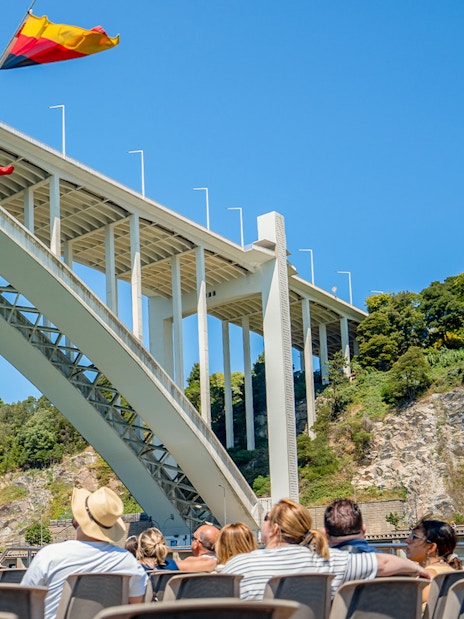 Cruise passengers view Ponte da Arrábida on Douro River, Porto.