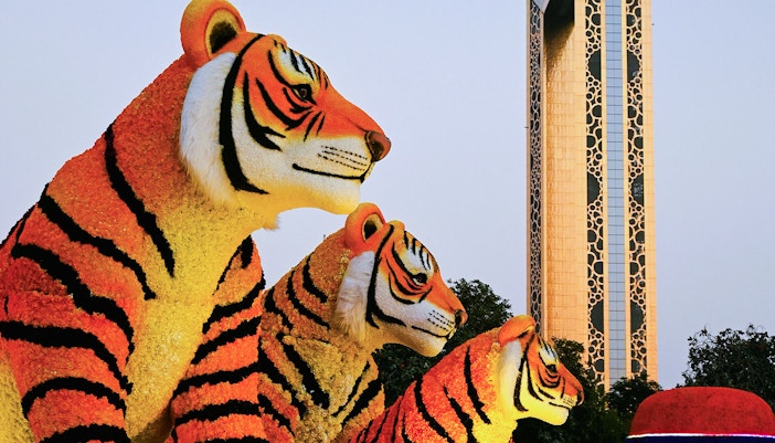 Floral tiger sculptures at Dubai Garden Glow with Dubai Frame in the background.
