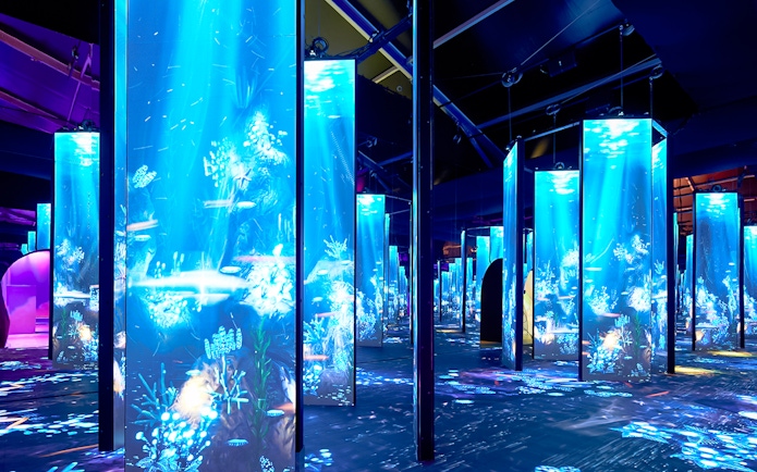 Immersive blue-lit installation at Bubble Planet, Seattle.