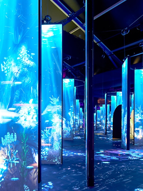 Immersive blue-lit installation at Bubble Planet, Seattle.