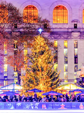 New York City Christmas Tour