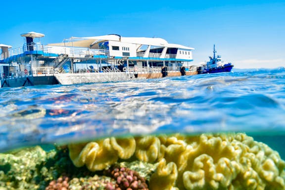 outer great barrier reef cruise with buffet lunch, snorkeling & glass boat tours-4