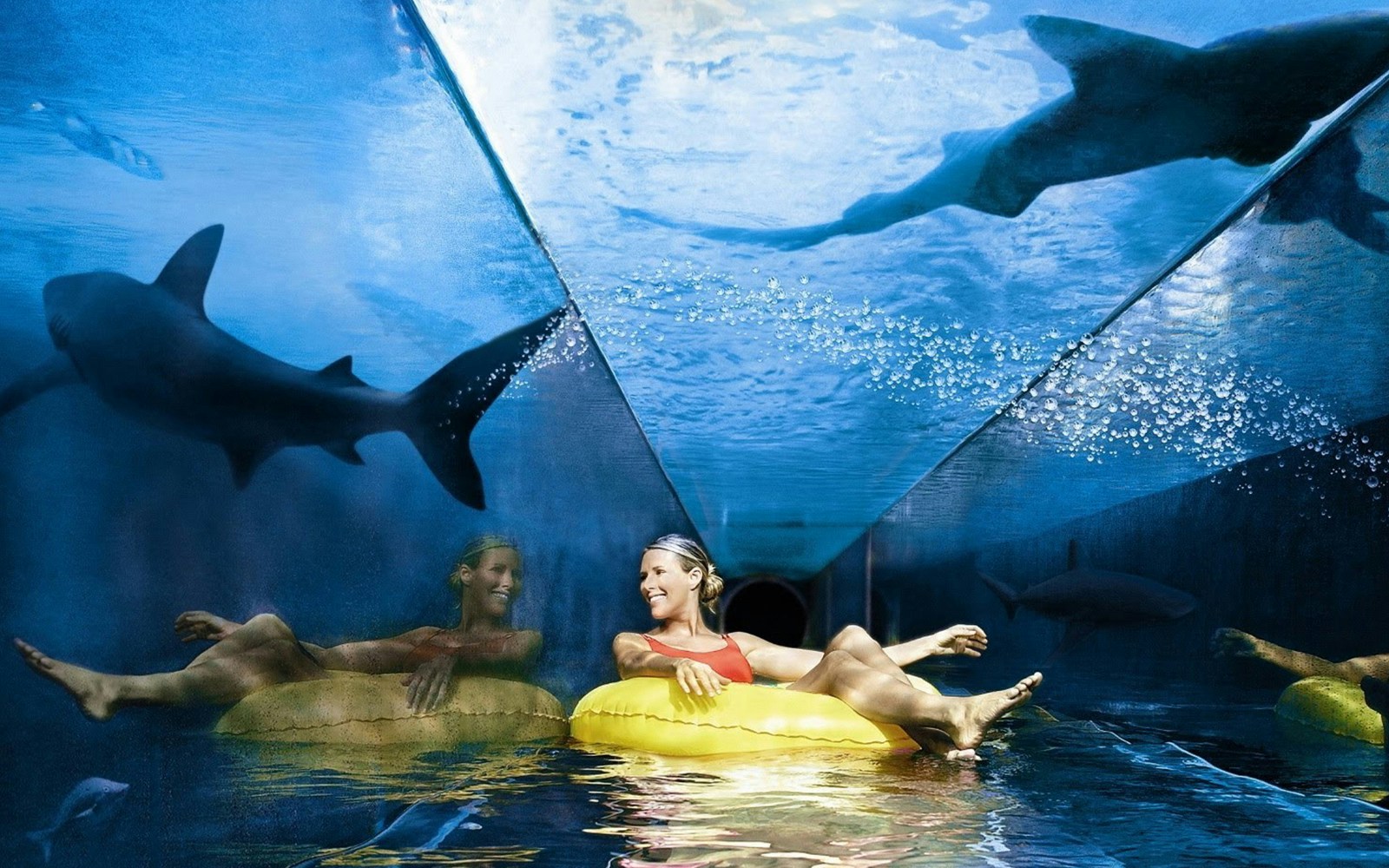 Tourists on water slides at Aquaventure Waterpark, Dubai, part of Aquaventure and The Lost Chambers Aquarium Combo Tickets.