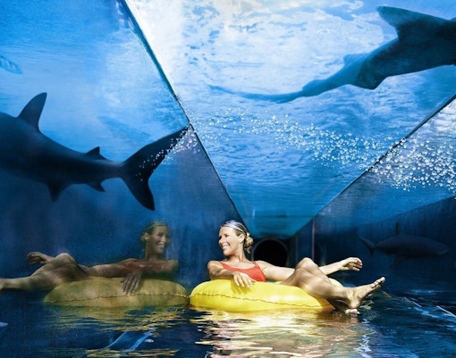 Best Things to do in Dubai - Waterparks