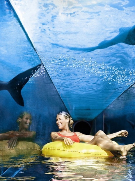Tourist on a yellow float in a shark tunnel at Aquaventure Waterpark, Dubai.