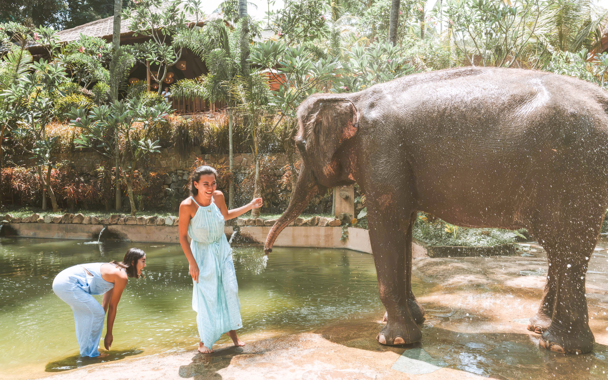 Elephant bath experience with visitors at Lombok Wildlife Park.