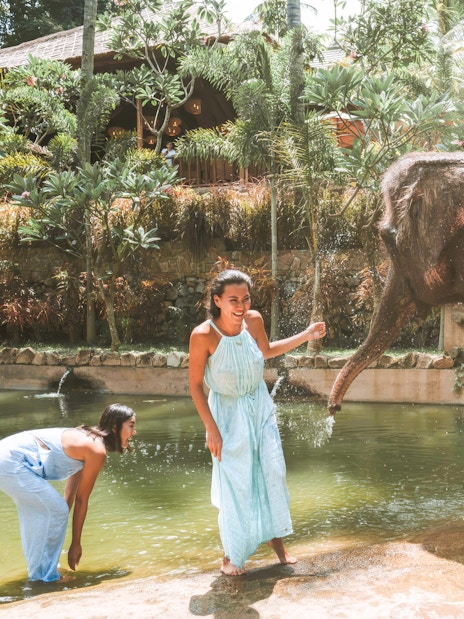 Elephant bath experience with visitors at Lombok Wildlife Park.