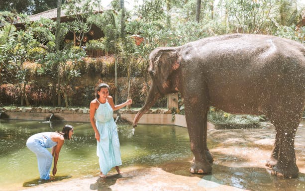 Elephant bath experience with visitors at Lombok Wildlife Park.