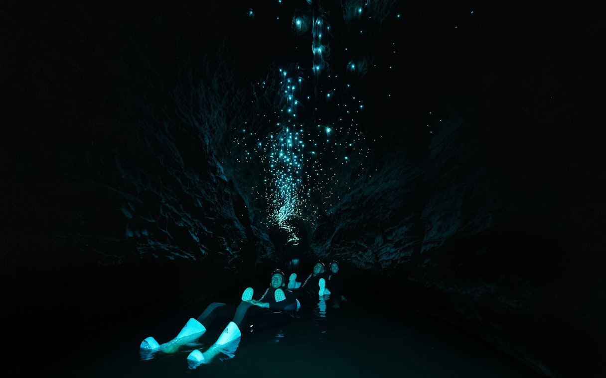 Visitors floating in Okohua Glowworm Cave, illuminated by glowworms above.