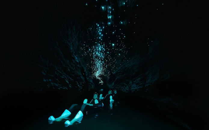 Visitors floating in Okohua Glowworm Cave, illuminated by glowworms above.