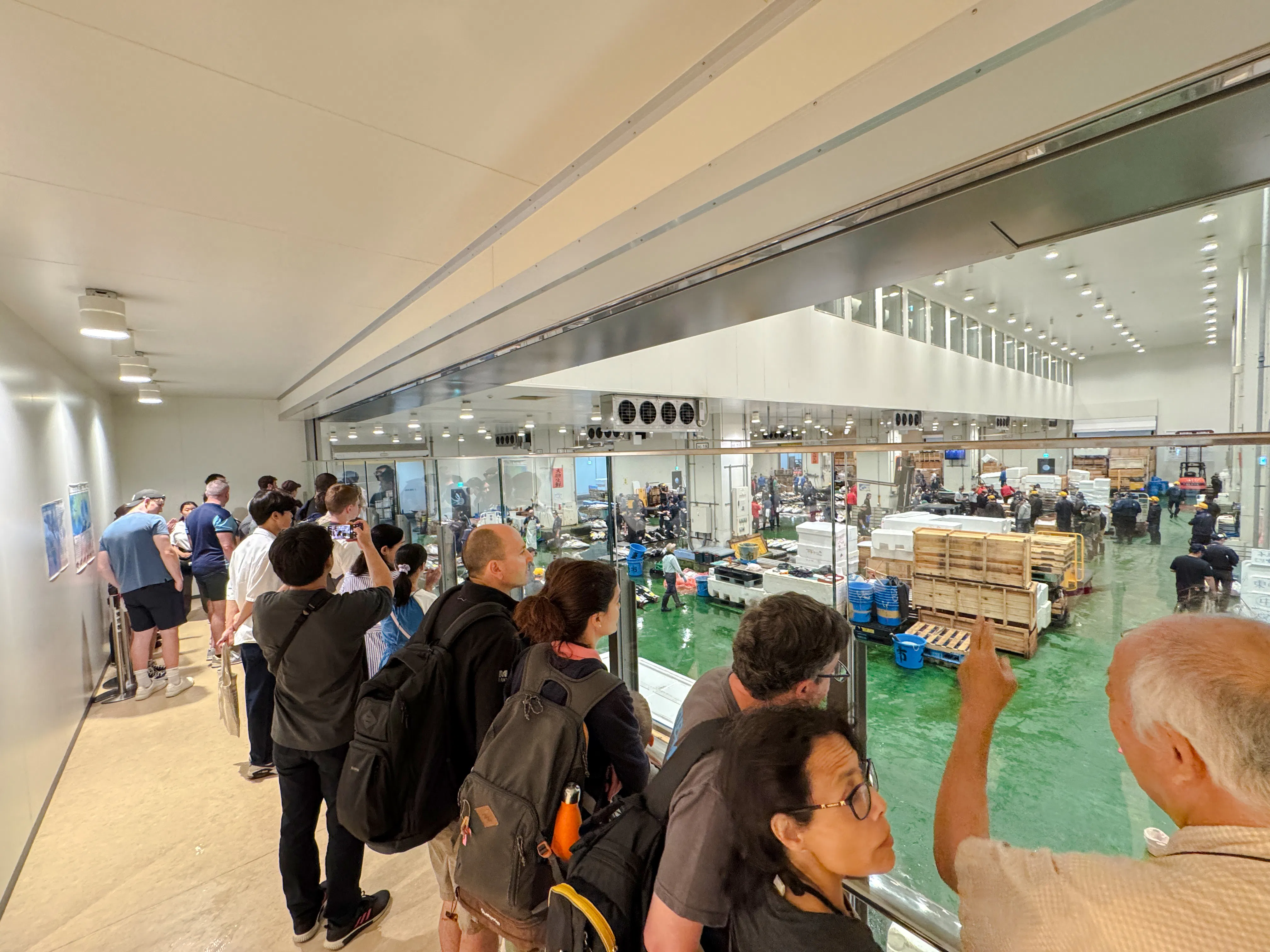 Tokyo Toyosu Tuna Auction Observation Walking Tour with Breakfast Reservation
