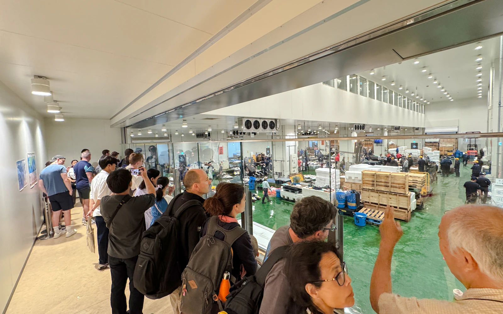 Tokyo Toyosu Tuna Auction Observation Walking Tour with Breakfast Reservation