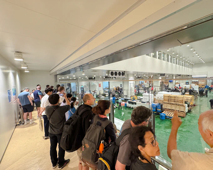 Tokyo Toyosu Tuna Auction Observation Walking Tour with Breakfast Reservation