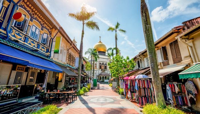 Kampong Glam Singapore street with colorful murals and traditional shophouses.