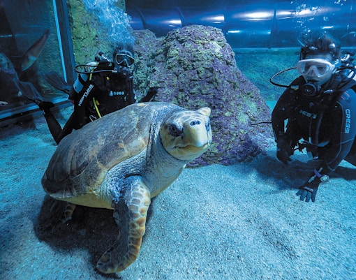 Toca Toca (Touch Touch) interactive zone